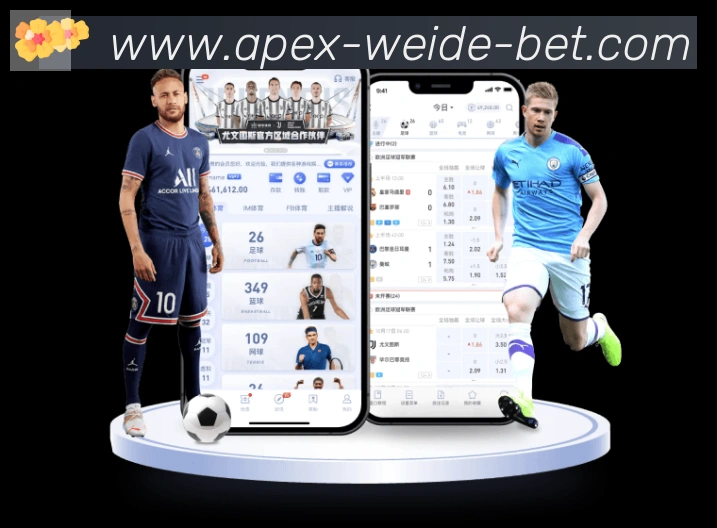 App 示例图